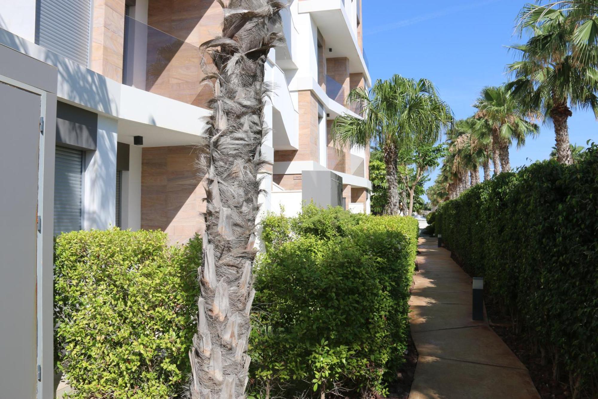 Luxusni Apartman Ve Spanelsku, Cabo Roig Orihuela Exteriör bild